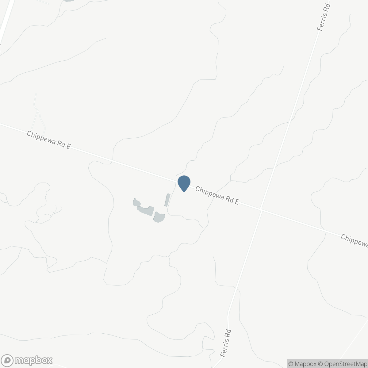 8378 CHIPPEWA ROAD E, Hamilton, Ontario L0R 1W0